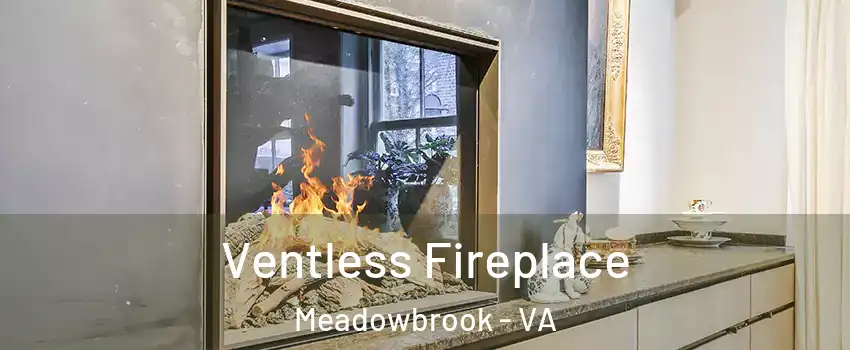  Ventless Fireplace Meadowbrook - VA